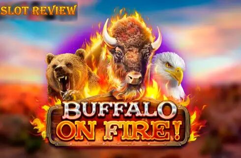 Buffalo on Fire